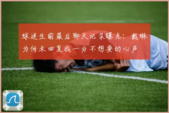 球迷生前最后聊天记录曝光：戴琳为何未回复我一分不想要的心声