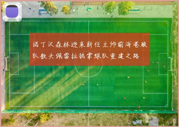 诺丁汉森林迎来新任主帅前海港狼队教头佩雷拉执掌球队重建之路