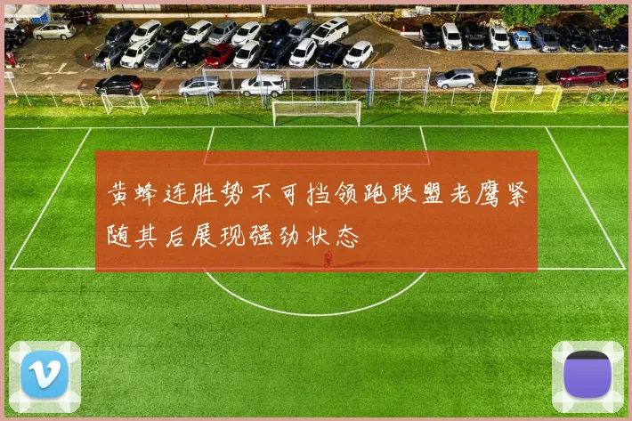 黄蜂连胜势不可挡领跑联盟老鹰紧随其后展现强劲状态