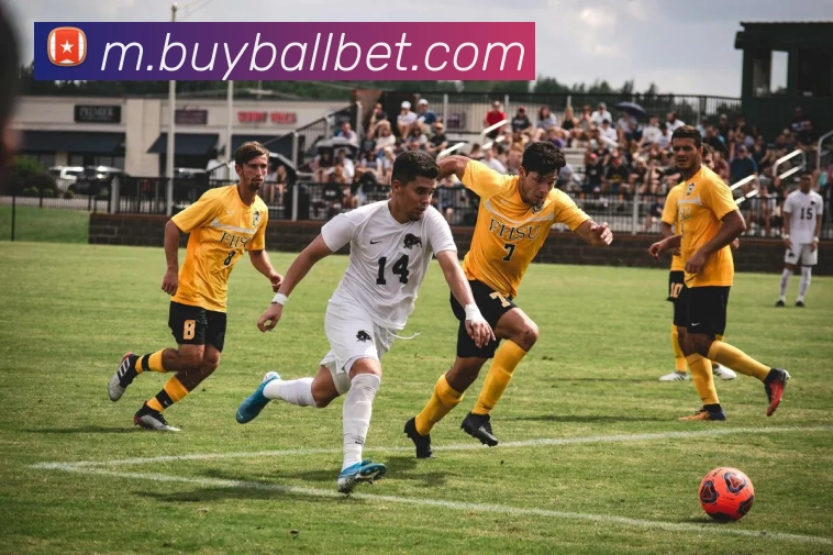 足球买球平台生态图